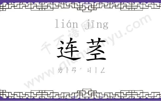 连茎