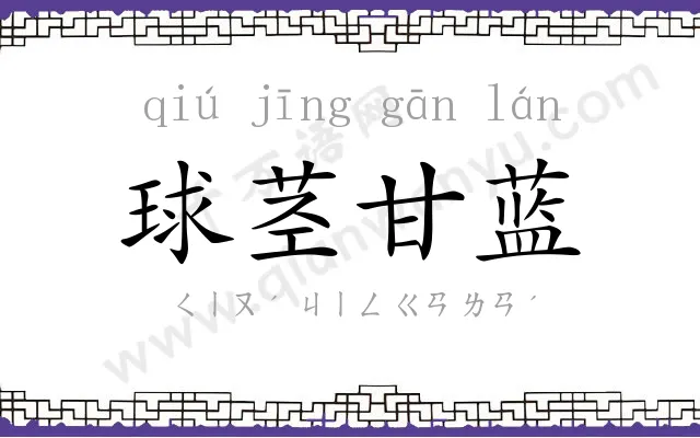 球茎甘蓝