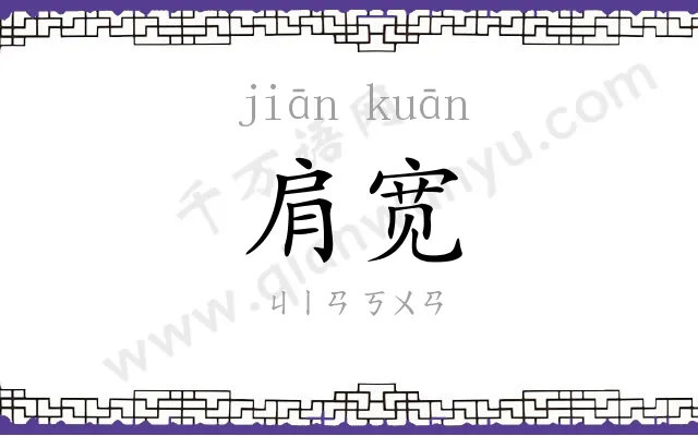肩宽