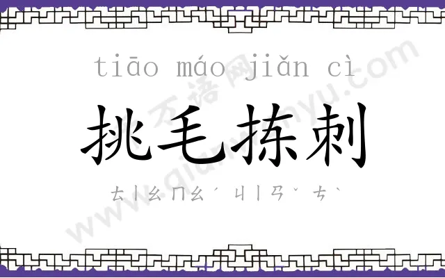 挑毛拣刺