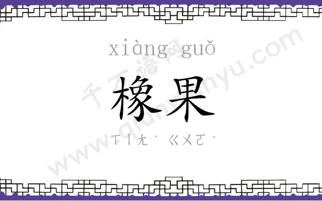 橡果