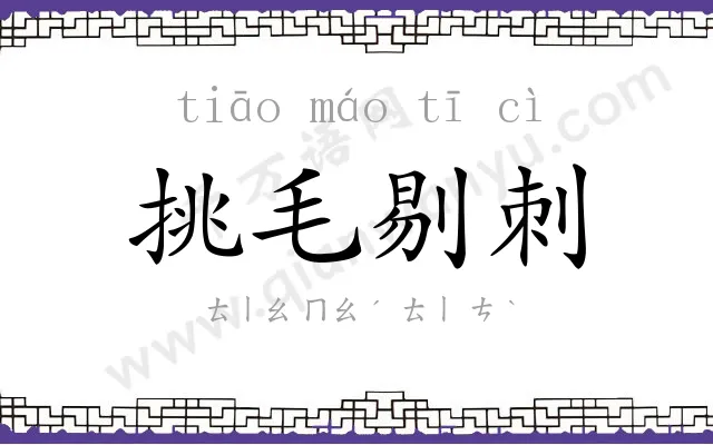 挑毛剔刺