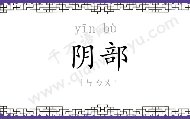 阴部
