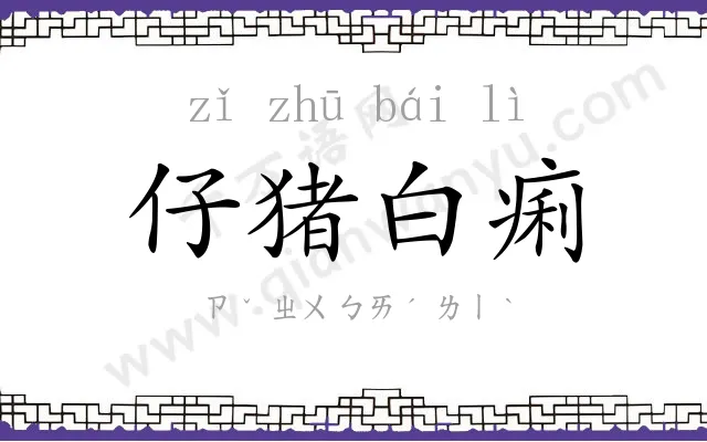 仔猪白痢