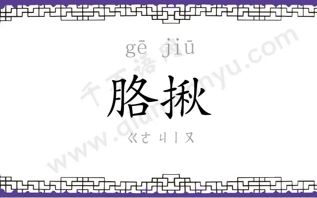 胳揪