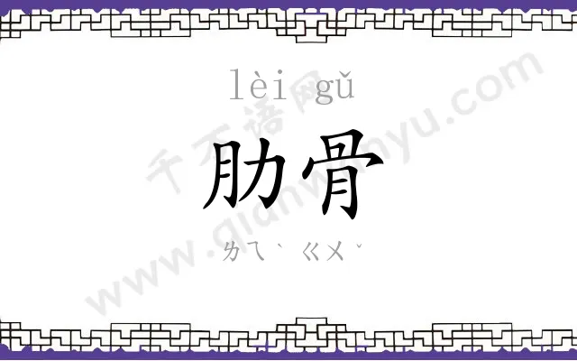 肋骨