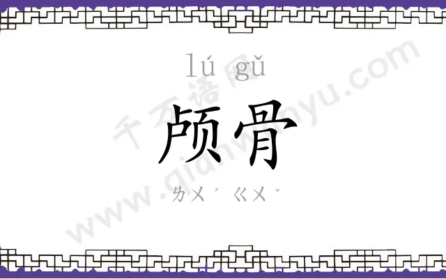颅骨
