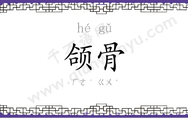 颌骨