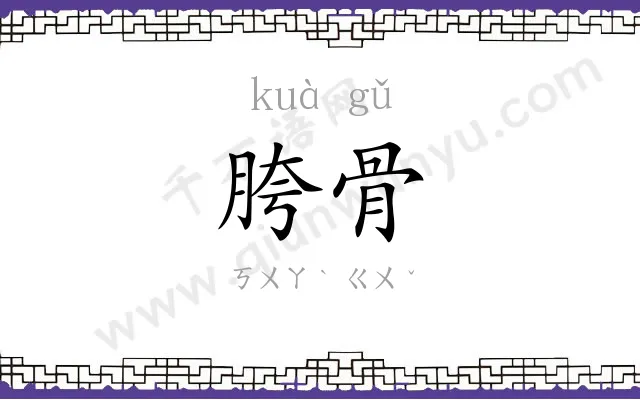 胯骨