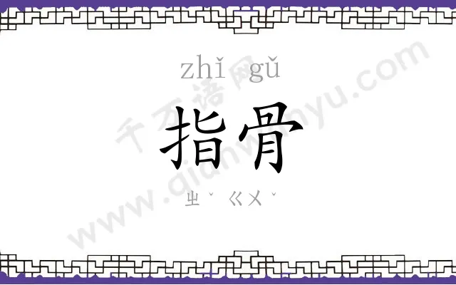 指骨