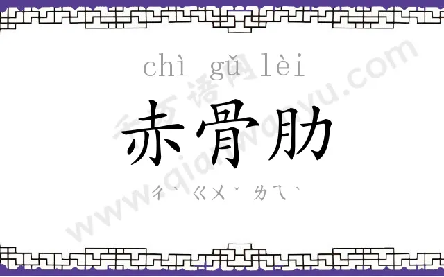 赤骨肋