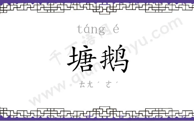 塘鹅