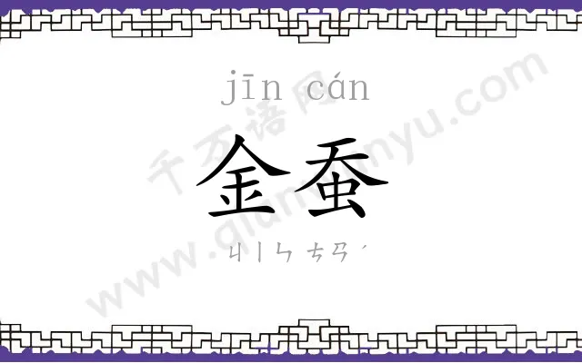金蚕
