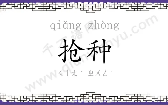 抢种