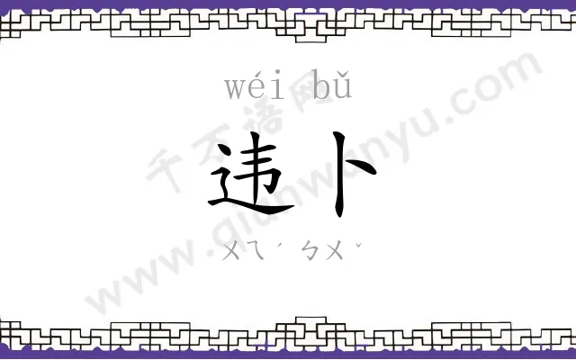 违卜