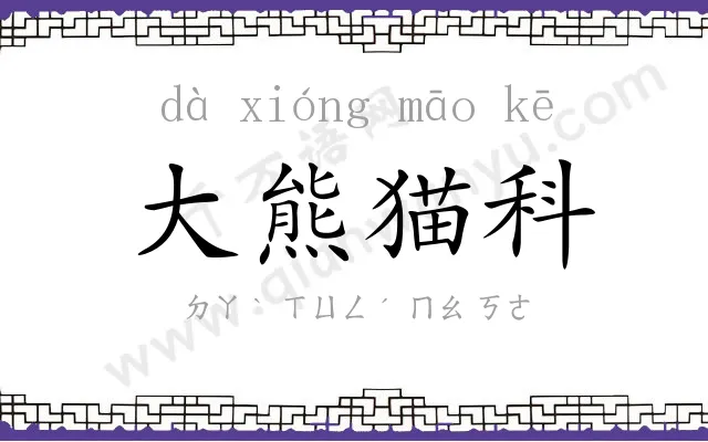 大熊猫科
