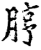 脝(宋·印刷字体·增韵)
