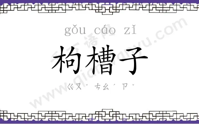 枸槽子