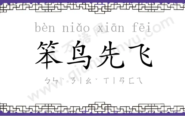 笨鸟先飞
