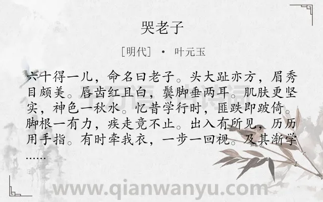 《哭老子》作者是明代的叶元玉.诗词全文约共300字.