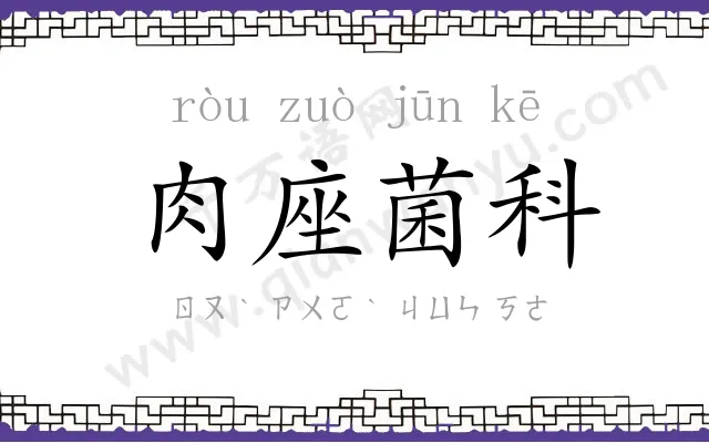 肉座菌科