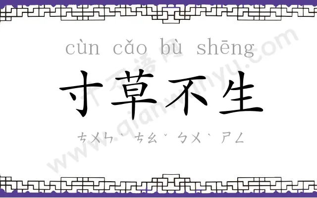 寸草不生