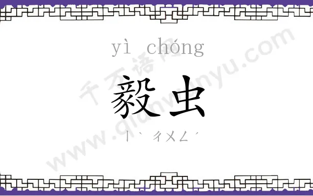 毅虫