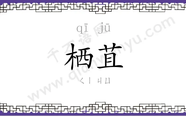 栖苴