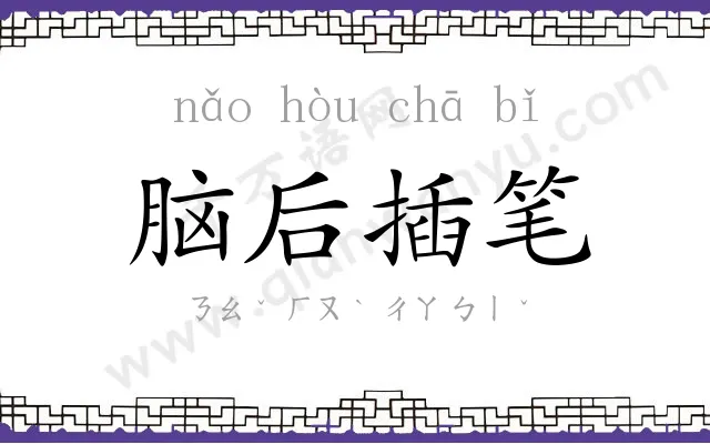脑后插笔