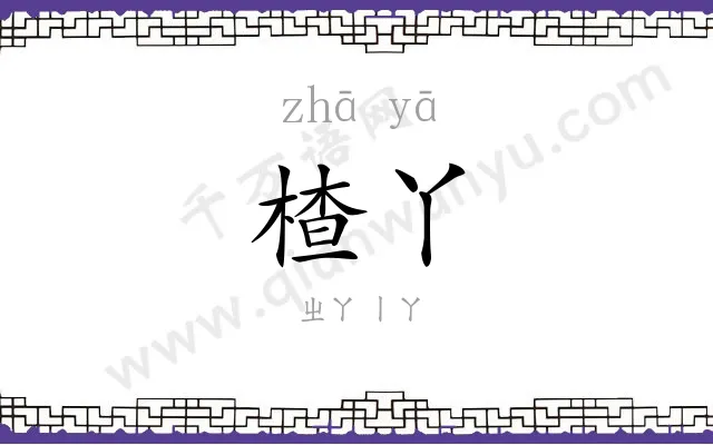 楂丫