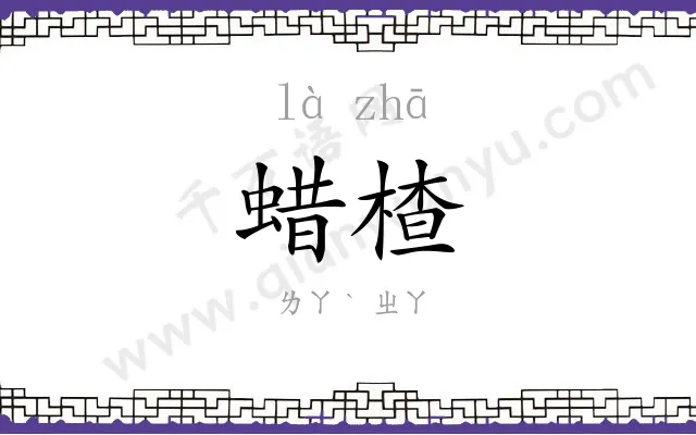 蜡楂