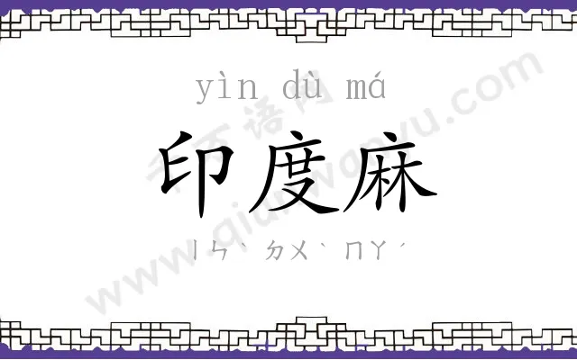 印度麻