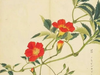 1655174830654587.png image.png
