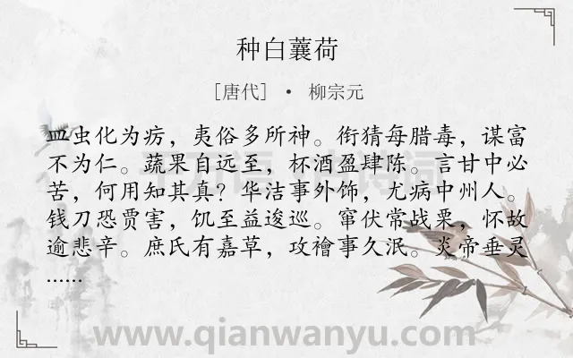 《种白蘘荷》作者是唐代的柳宗元.本诗词属于讽刺;言志;抒情类诗词.诗词全文约共132字.
