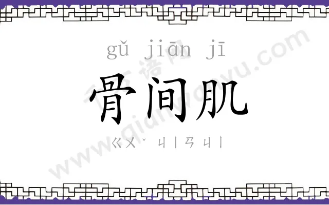 骨间肌