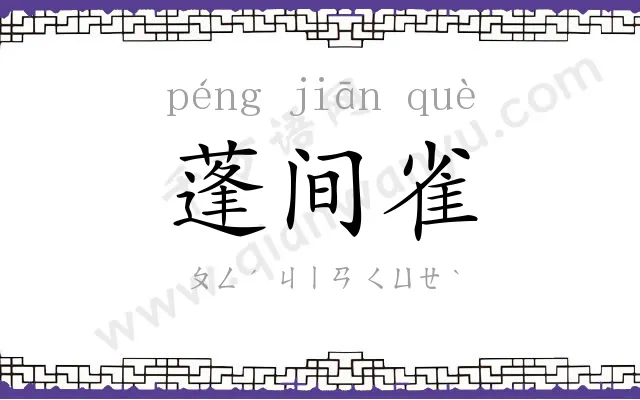 蓬间雀
