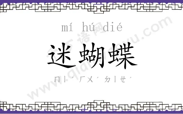 迷蝴蝶