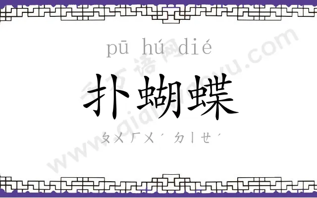 扑蝴蝶