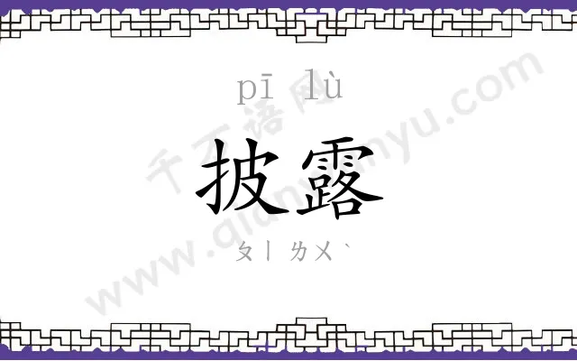 披露
