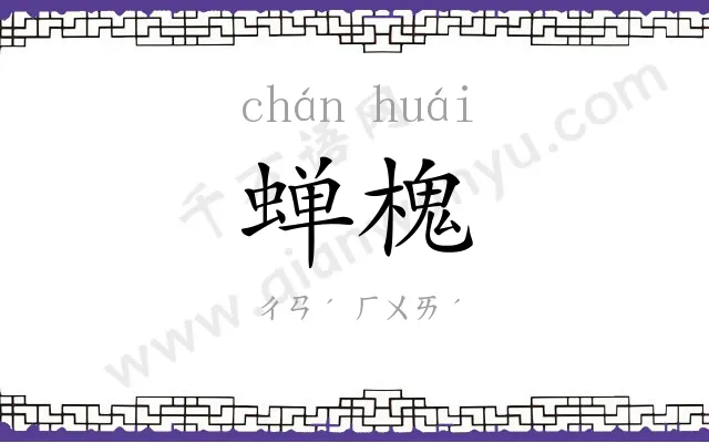 蝉槐