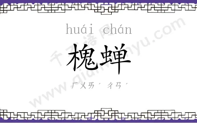 槐蝉