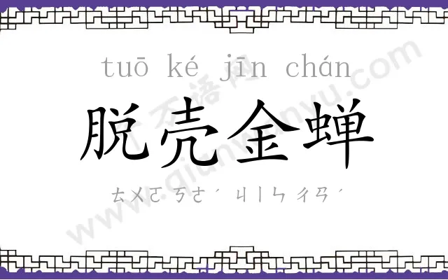 脱壳金蝉
