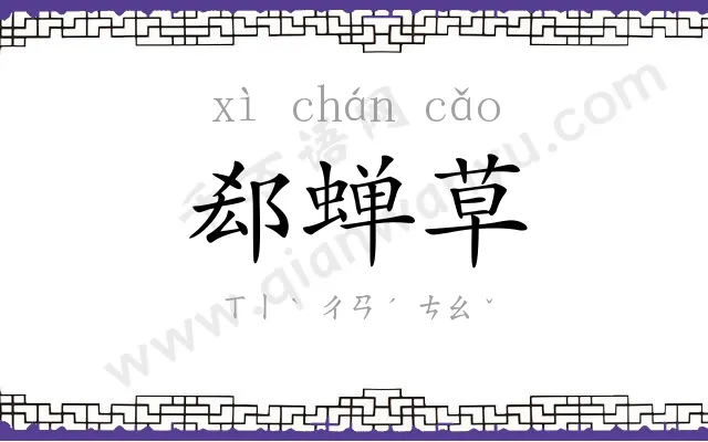 郄蝉草