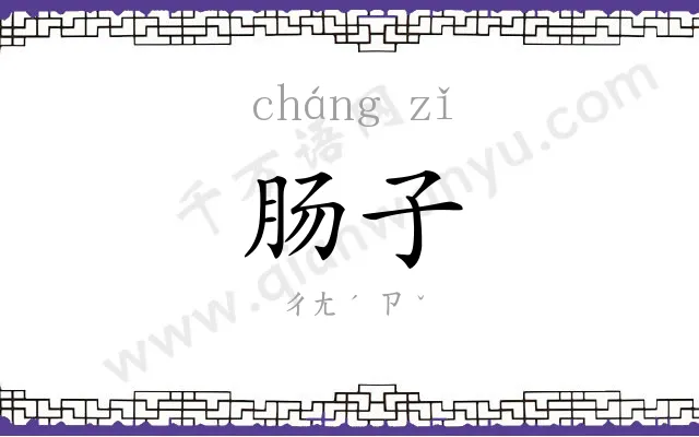 肠子