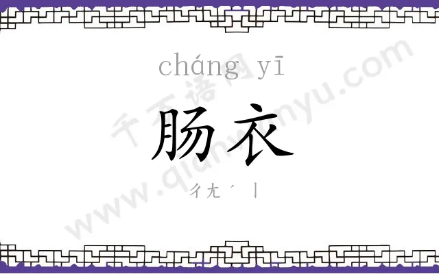 肠衣