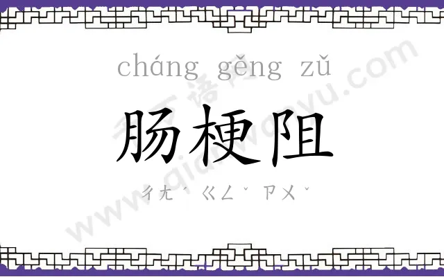肠梗阻