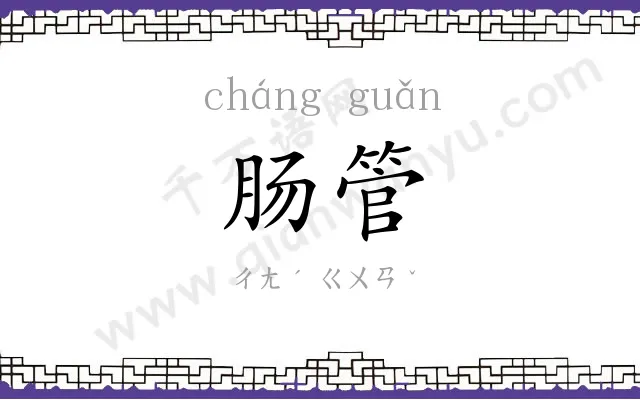 肠管