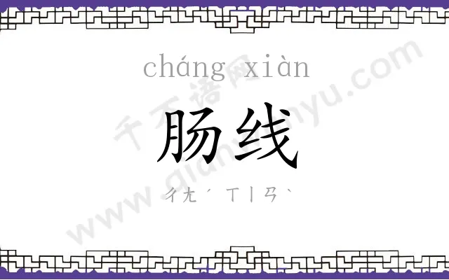 肠线