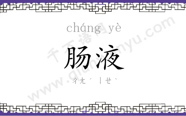 肠液