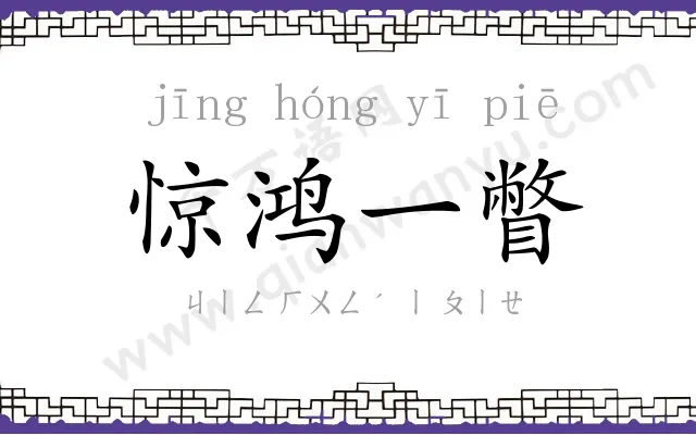 惊鸿一瞥